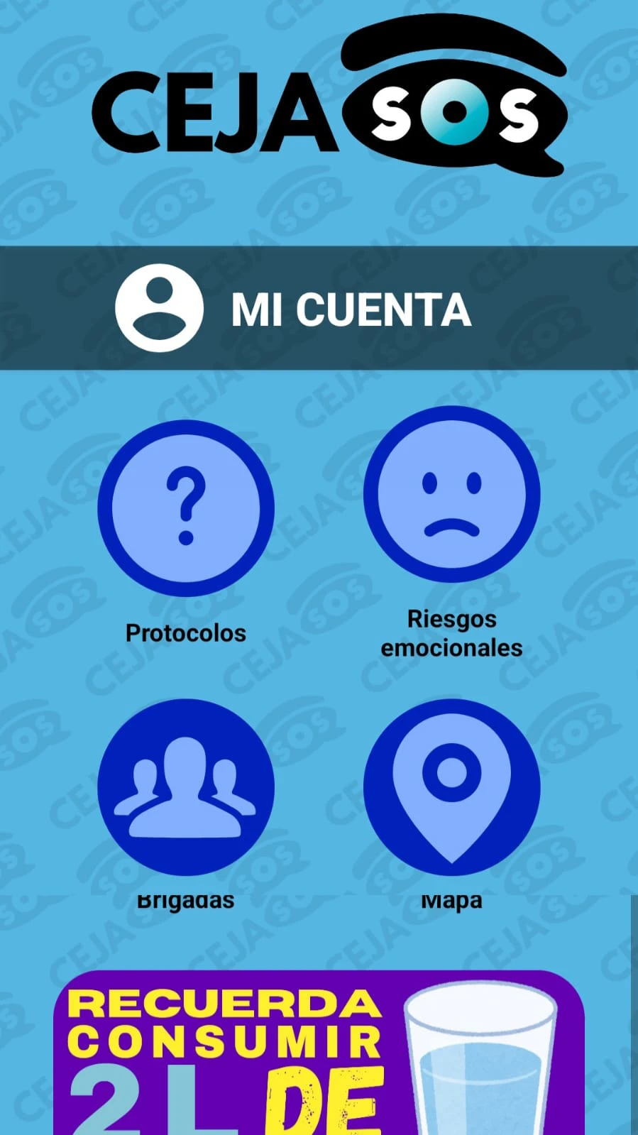 Proyecto experimental